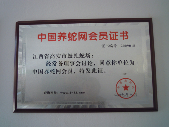 Y|csu